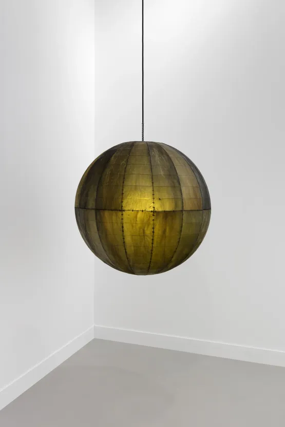 Releasing the Human From The Human by Anicka Yi contemporary artwork Sculpture