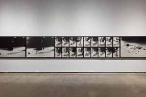 Marina Abramovic