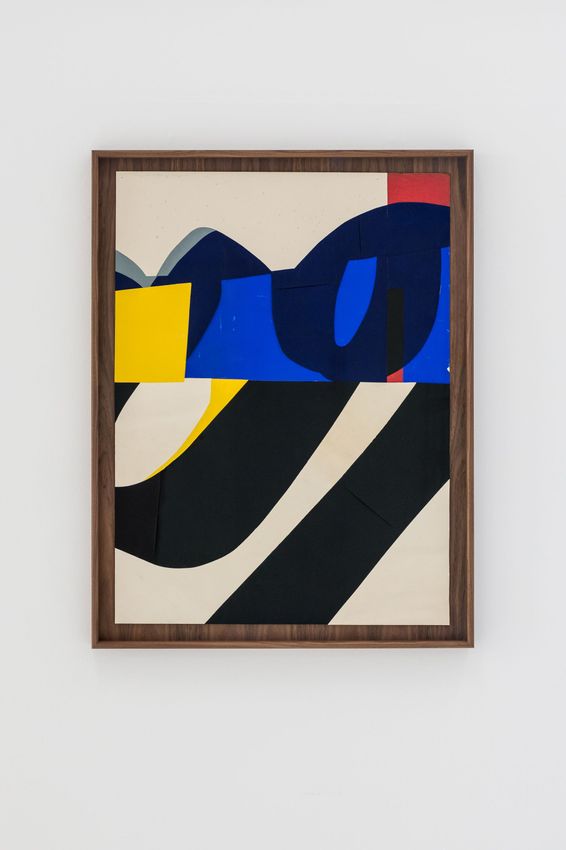 JESSE WILLEMS