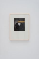Hivernacle Tulip by Andrea Torres contemporary artwork painting photography works on paper