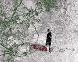 We Need to Talk in Whispers Case Study of Srimoyee Futility of existence by Soumya Sankar Bose contemporary artwork print