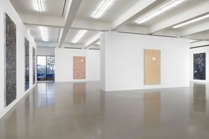 Cyprien Gaillard