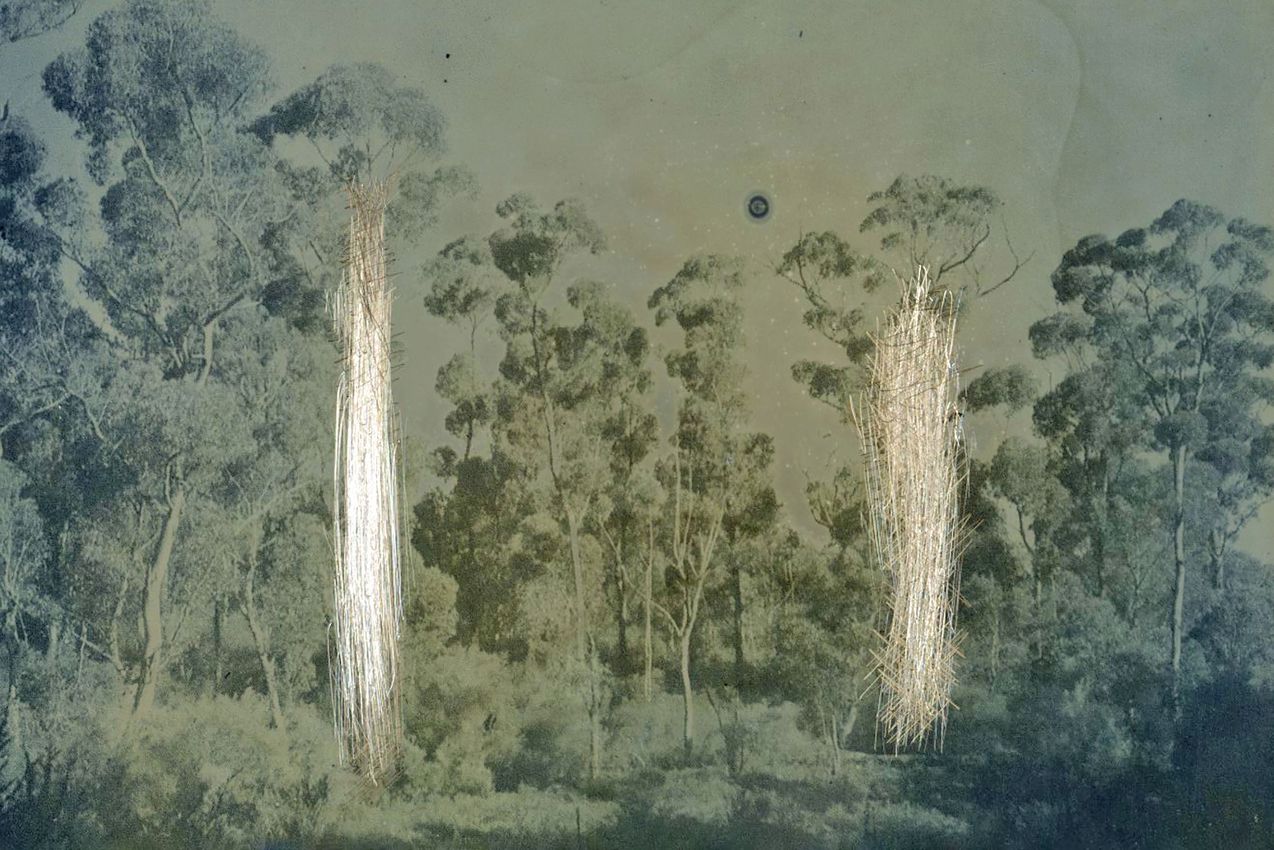 JAMES TYLOR