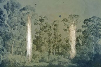 James Tylor contemporary artist