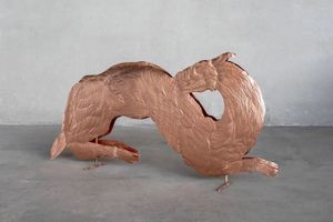 Bekhbaatar Enkhtur