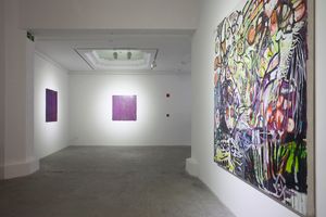 Chinas New Generation of Women Artists