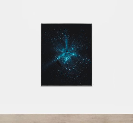 Midnight Zone - 173 Fathoms by Julian Charriere contemporary artwork Photography