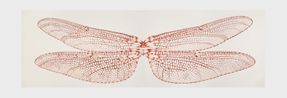 Libelulis Locomia diptico by Rodolpho Parigi contemporary artwork Drawing