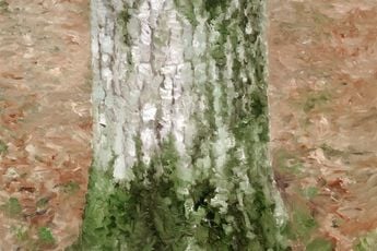 Natee Utarit contemporary artist
