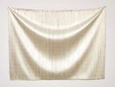 Untitled by Edith Dekyndt contemporary artwork Textile