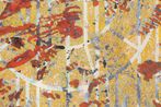 Francois Rouan contemporary artist