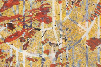 Francois Rouan contemporary artist