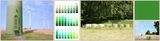 Emptied Remains Color of Nature is definitely Green by Otobong Nkanga contemporary artwork photography print