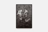 INTERVAL OF VIEWING Chronograph CN2470-107 by Melik Ohanian contemporary artwork print