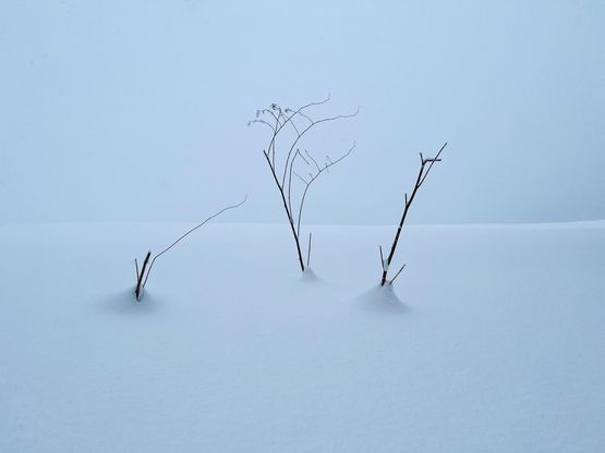 Winter Strokes by Stephen King contemporary artwork Photography