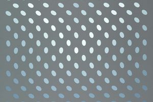 Bridget Riley