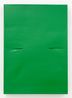 Scar Green by Angela De La Cruz contemporary artwork Painting