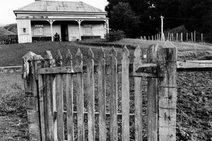 Marti Friedlander