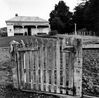 Puhoi 1967 by Marti Friedlander contemporary artwork Sculpture