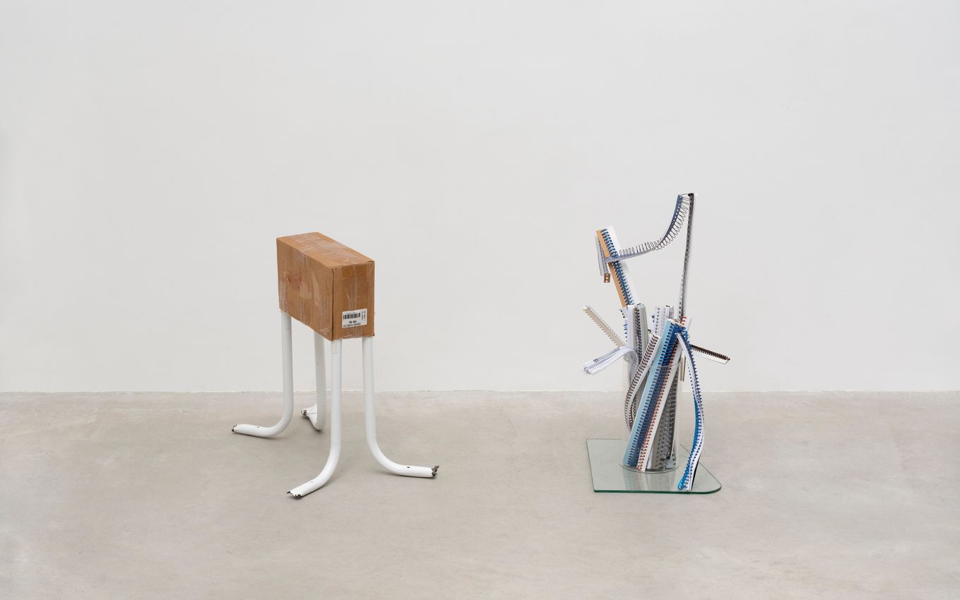 Adriano Costa | Jac Leirner
