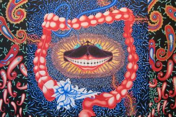 Contemporary art exhibition Ching Ho Cheng More Life Ching Ho Cheng at David Zwirner New York 20th Street United States