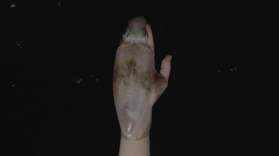 Squid by Tong Wenmin contemporary artwork