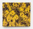 Yellow Room by Dane Lovett contemporary artwork Painting