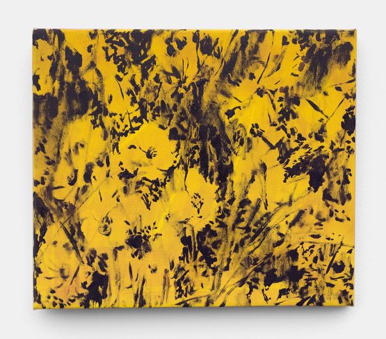 Yellow Room by Dane Lovett contemporary artwork Painting