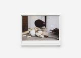 Accra still life by Wolfgang Tillmans contemporary artwork print