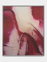 IWRRn0 by Anicka Yi contemporary artwork painting sculpture works on paper