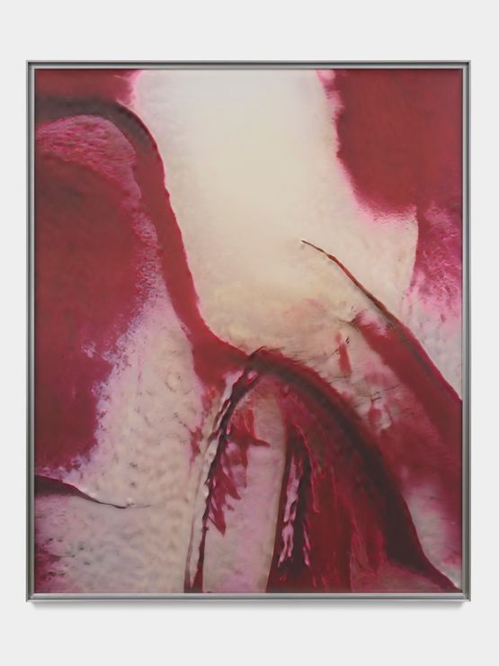 IWRRn0 by Anicka Yi contemporary artwork Painting