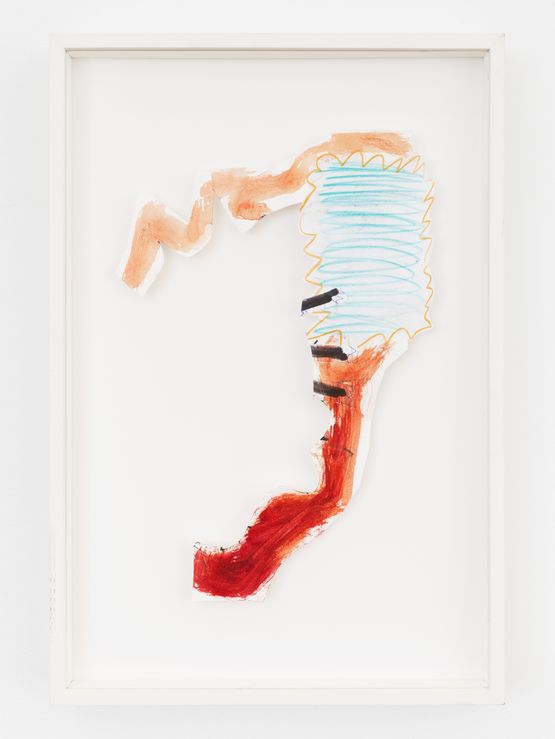 Flying Esophagus by Adriano Costa contemporary artwork Painting