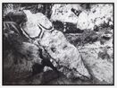Bacayu Esculturas Rupestres Light of Day Rupestrian Sculptures by Ana Mendieta contemporary artwork Photography