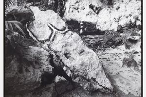 Ana Mendieta