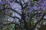 Gary Carsley contemporary artist