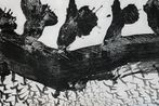 Doukan Yano contemporary artist
