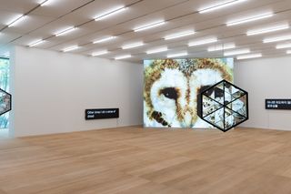 Contemporary art exhibition Jun Hyejoo Endoskopeia at SONGEUN Art and Cultural Foundation Seoul South Korea