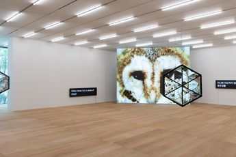 Contemporary art exhibition Jun Hyejoo Endoskopeia at SONGEUN Art and Cultural Foundation Seoul South Korea
