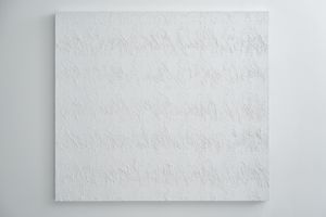 Ghada Amer