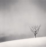 Snowfall Numakawa Hokkaido Japan by Michael Kenna contemporary artwork photography