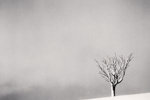 Michael Kenna