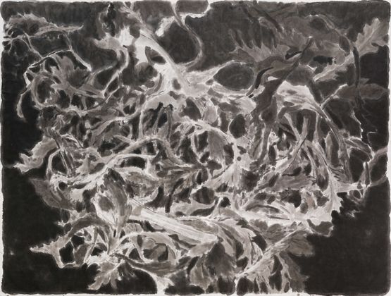 Shepherds Purse 4  4 by Wu Yiming contemporary artwork Works on Paper