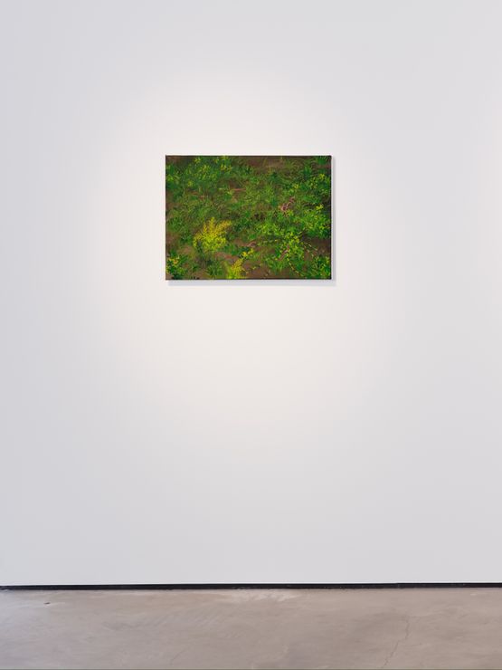 Untitled by Calvin Marcus contemporary artwork Painting