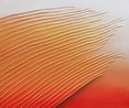 Untitled 180204 by Tsuyoshi Maekawa contemporary artwork Textile