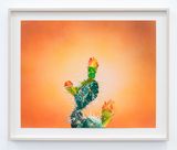 Survivor 2 by Francesca Gabbiani contemporary artwork painting works on paper