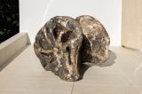 Root II by Lotus L. Kang contemporary artwork sculpture