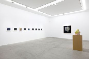 Contemporary art exhibition Group Exhibition GROUP SHOW 5 ARTISTS at KOSAKU KANECHIKA Tennoz Japan