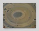 Fermentation by Kong Lingnan contemporary artwork painting