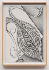 Fossil 9 by Faith Wilding contemporary artwork drawing works on paper