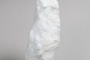 Liang Shaoji